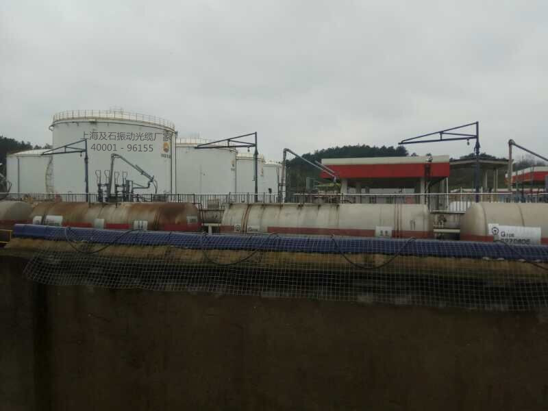 20190325141938863886 (1).jpg