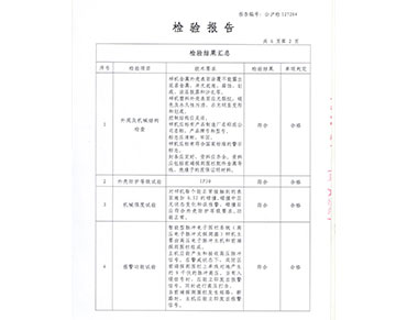 检验报告2