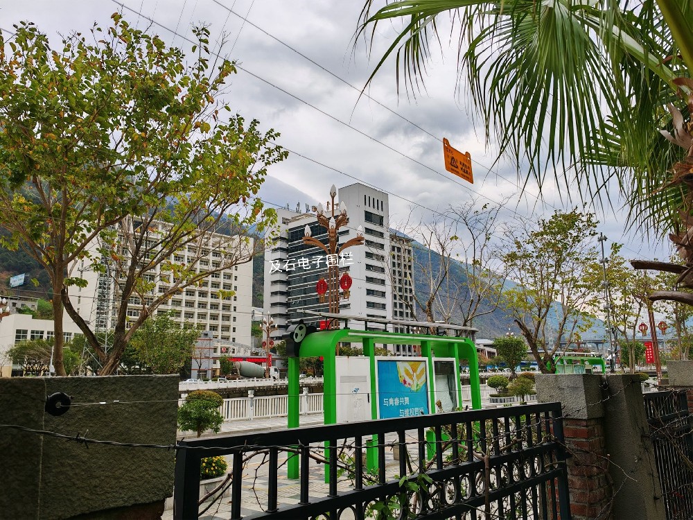 1723903402159844.jpg 1.jpg