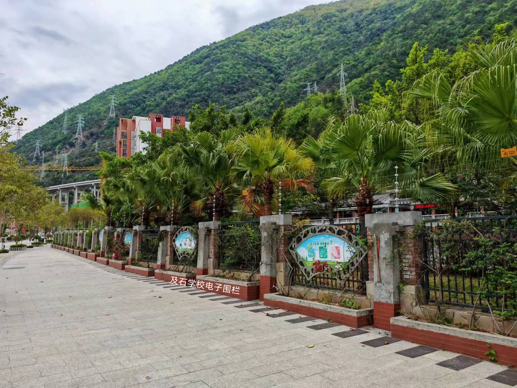 1723903405149864.jpg 2.jpg